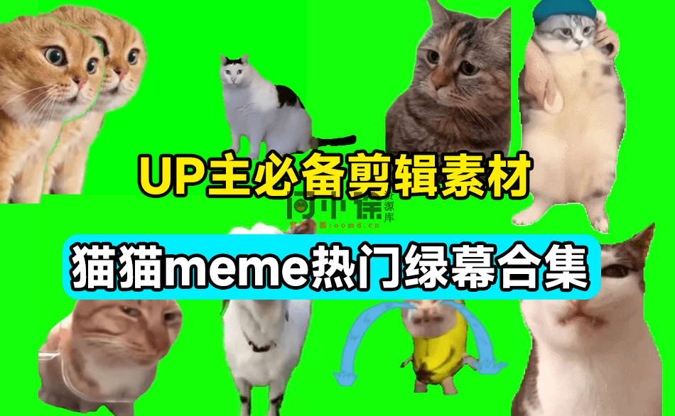 UP主必备！B站某音热门绿幕视频素材，180套猫猫meme动态绿幕合集包，含背景图BGM，含使用教程-问小徐资源库