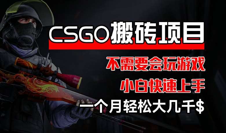 CSGO 装备搬砖项目，操作简单，不需要会玩游戏，小白也能快速上手，一个月轻松大几千【揭秘】-问小徐资源库