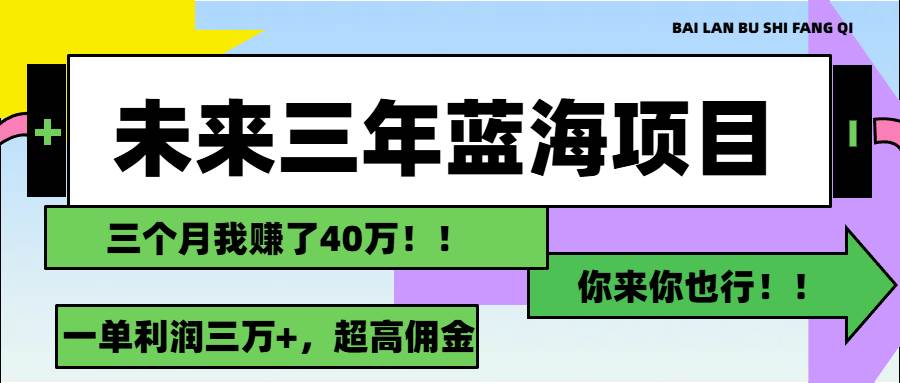 （11716期）未来三年，蓝海赛道，月入3万+-问小徐资源库