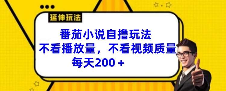 番茄小说自撸玩法，不看播放量，不看视频质量，每天200+【揭秘】-问小徐资源库