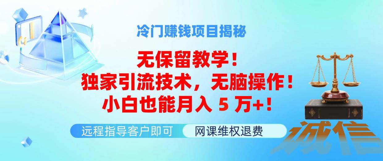 （11864期）冷门赚钱项目无保留教学！独家引流技术，无脑操作！小白也能月入5万+！-问小徐资源库