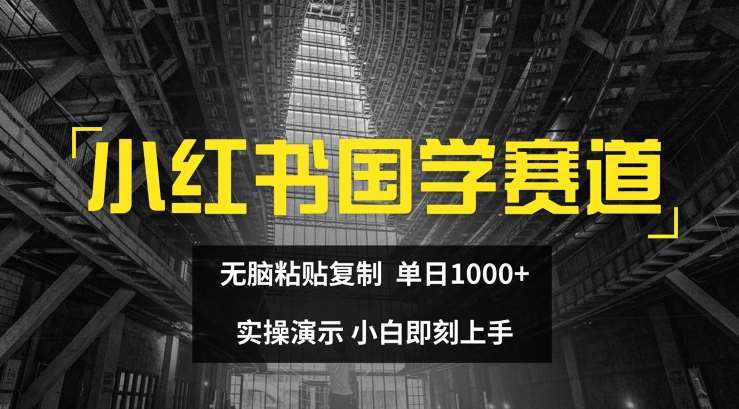 小红书国学赛道，无脑粘贴复制，单日1K，实操演示，小白即刻上手【揭秘】-问小徐资源库