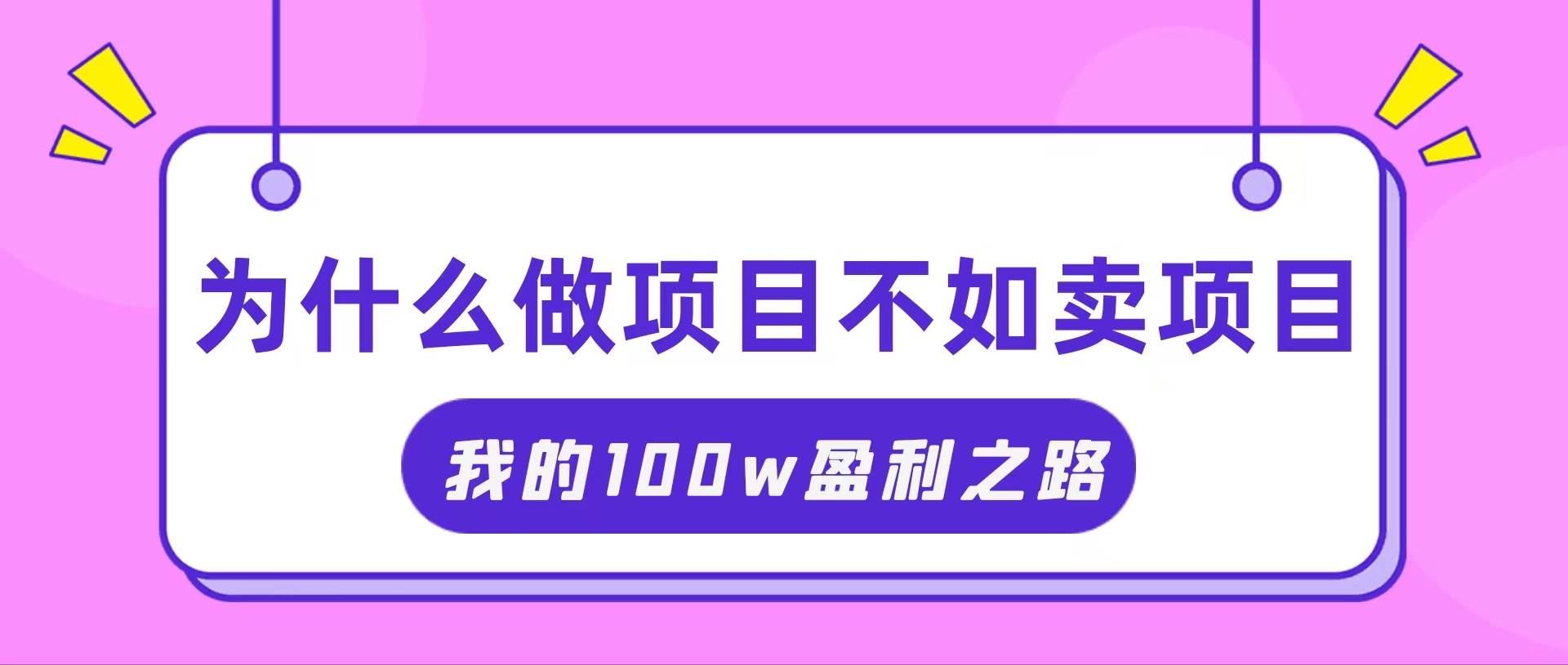 （11893期）抓住互联网创业红利期，我通过卖项目轻松赚取100W+-问小徐资源库