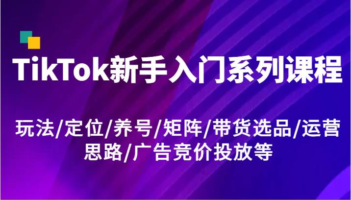 TikTok新手入门系列课程，玩法/定位/养号/矩阵/带货选品/运营思路/广告竞价投放等-问小徐资源库