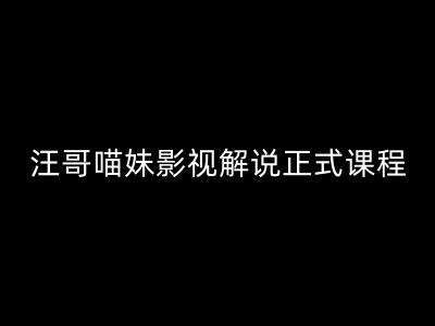 汪哥影视解说正式课程：剪映/PR教学/视解说剪辑5大黄金法则/全流程剪辑7把利器等等-问小徐资源库