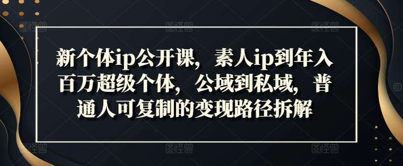 新个体ip公开课，素人ip到年入百万超级个体，公域到私域，普通人可复制的变现路径拆解-问小徐资源库