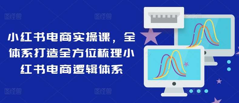 小红书电商实操课，全体系打造全方位梳理小红书电商逻辑体系-问小徐资源库