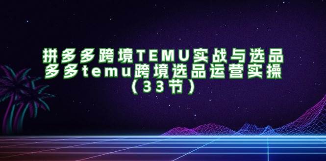 （11934期）拼多多跨境TEMU实战与选品，多多temu跨境选品运营实操（33节）-问小徐资源库