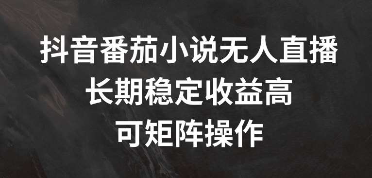 抖音番茄小说无人直播，长期稳定收益高，可矩阵操作【揭秘】-问小徐资源库