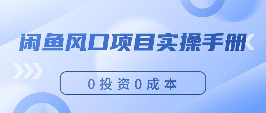 （11923期）闲鱼风口项目实操手册，0投资0成本，让你做到，月入过万，新手可做-问小徐资源库