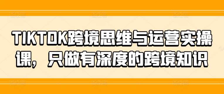 TIKTOK跨境思维与运营实操课，只做有深度的跨境知识-问小徐资源库