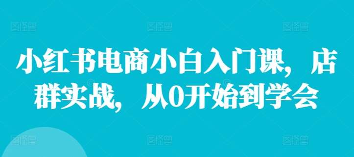 小红书电商小白入门课，店群实战，从0开始到学会-问小徐资源库