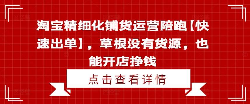 淘宝精细化铺货运营陪跑【快速出单】，草根没有货源，也能开店挣钱-问小徐资源库