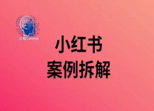 小红书案例拆解，深度解读小红书40万粉-问小徐资源库