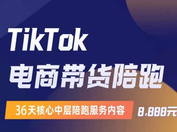 钧哥-言创-TikTok线上课程2023（价值8888元）-问小徐资源库