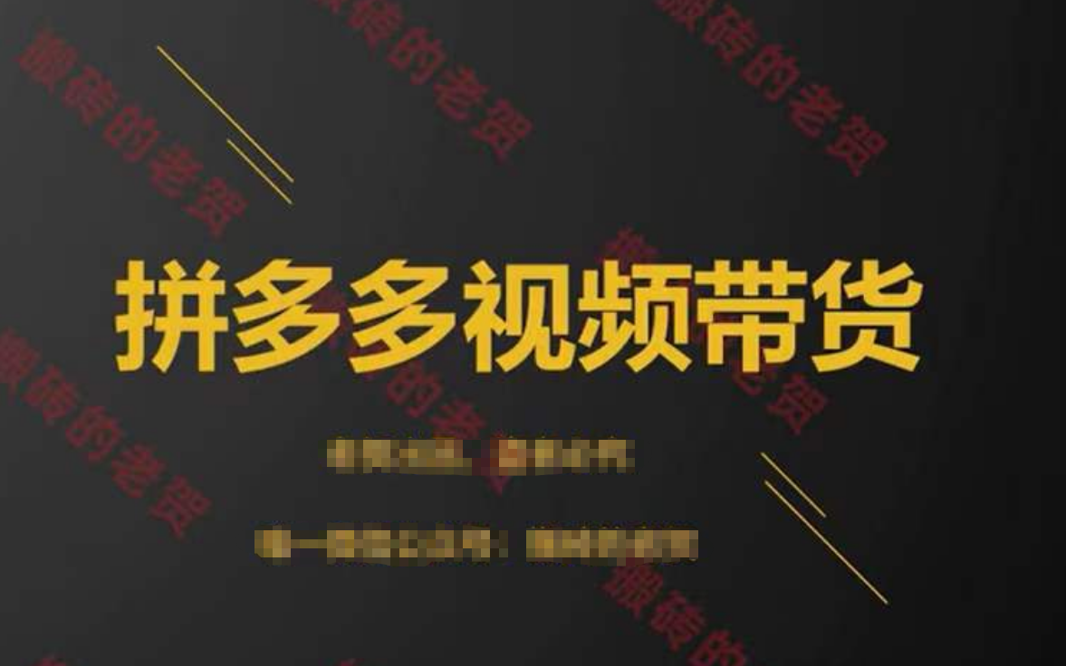 低调的老贺-拼多多视频带货2023年(价值980元)-问小徐资源库