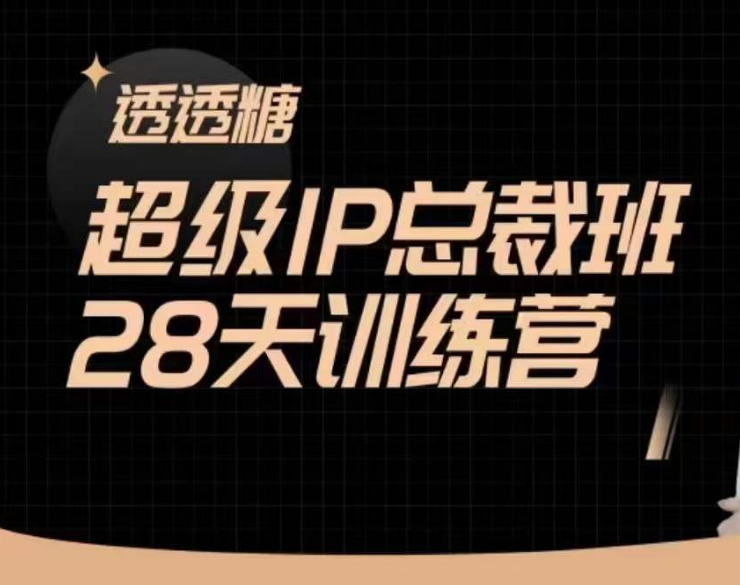 透透糖超级IP总裁班28天训练营2024年5月(价值16800元)-问小徐资源库