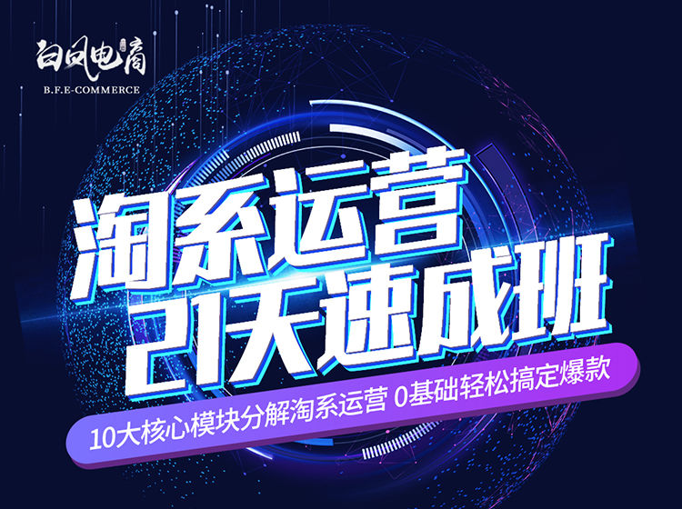 白凤电商-淘系运营21天速成班2024年12月更新(价值4999元)-问小徐资源库