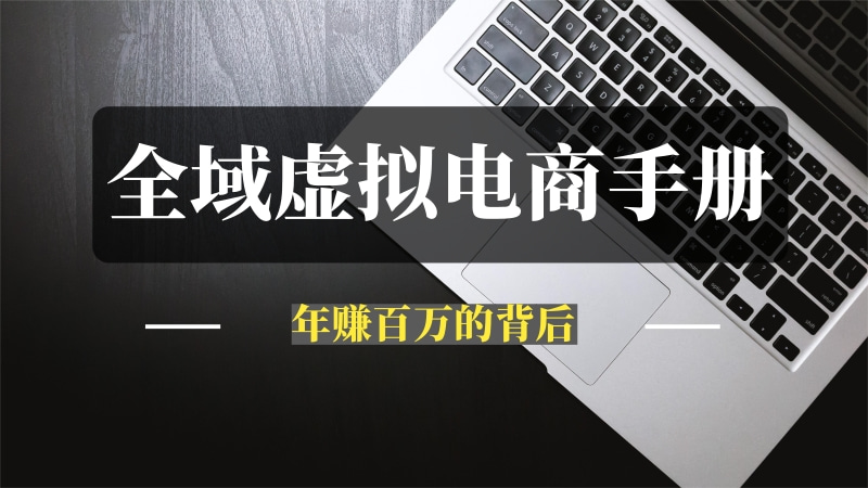 全域虚拟电商实操手册——年赚百万项目的背后-问小徐资源库